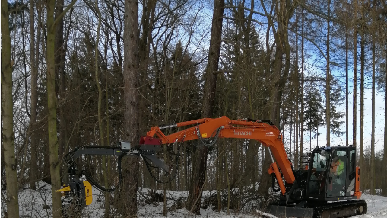 Auf dem Bild ist der Bagger Hitachi ZX 85 mit dem Harvesteraggregat zu sehen. Das Aggregat ist um ein Buche geklammert um diese zu fällen.