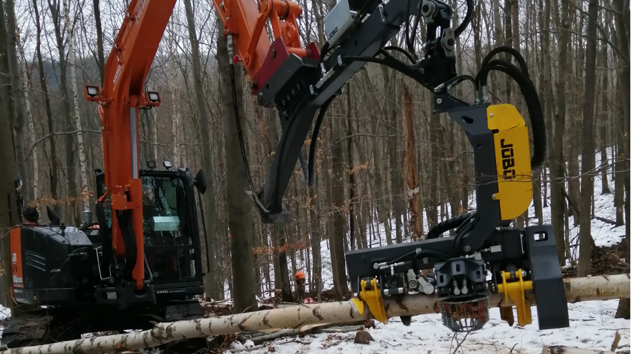 Zu sehen ist der Bagger Hitachi ZX 85 mit dem Harvesteraggregat beim Ablängen eines Birkenstammes.