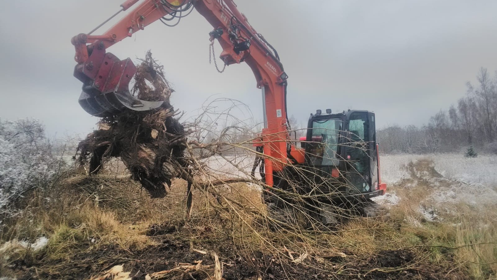 Zu sehen ist der Bagger Hitachi ZX 85 mit einem Roderechen. Dieser Hebt eine Wurzel aus dem Boden.